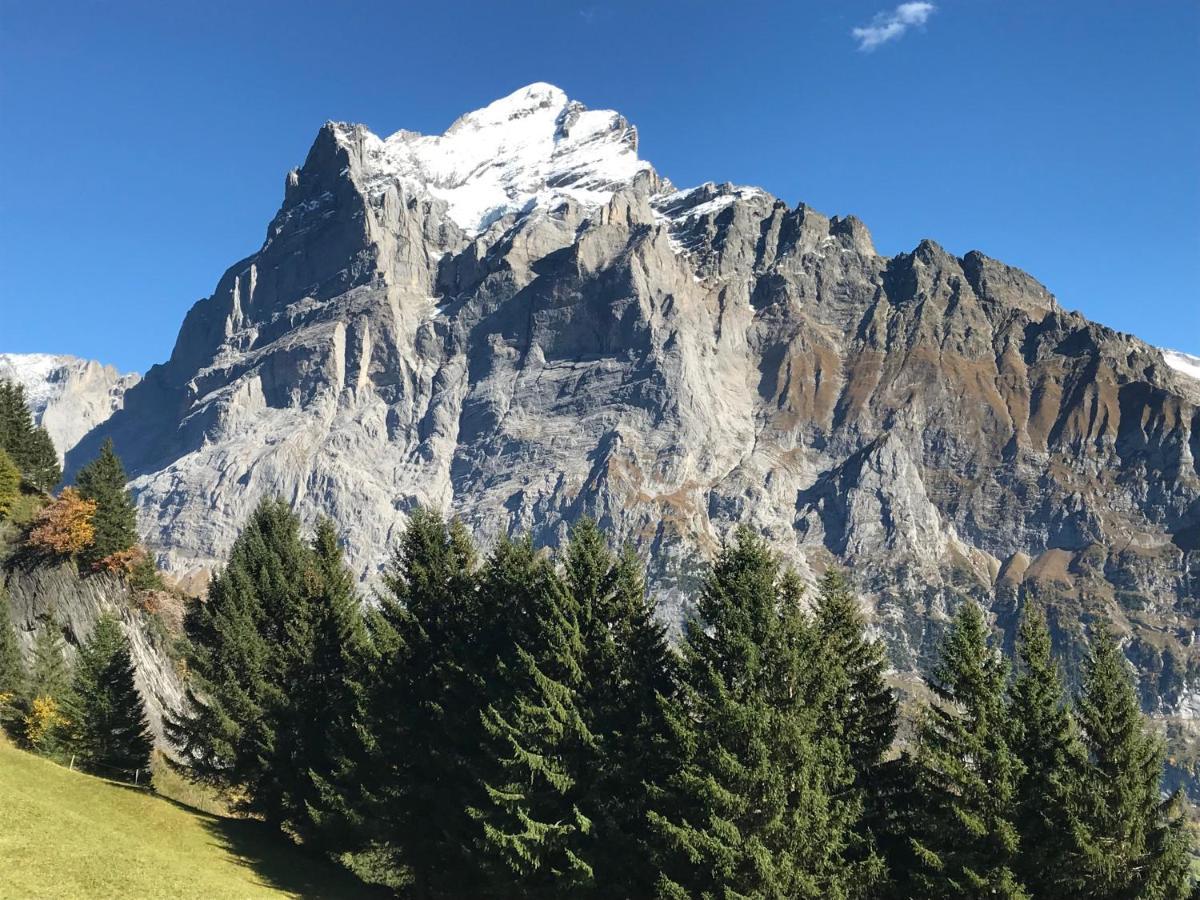 Chalet Sunneblick Grindelwald Exterior photo