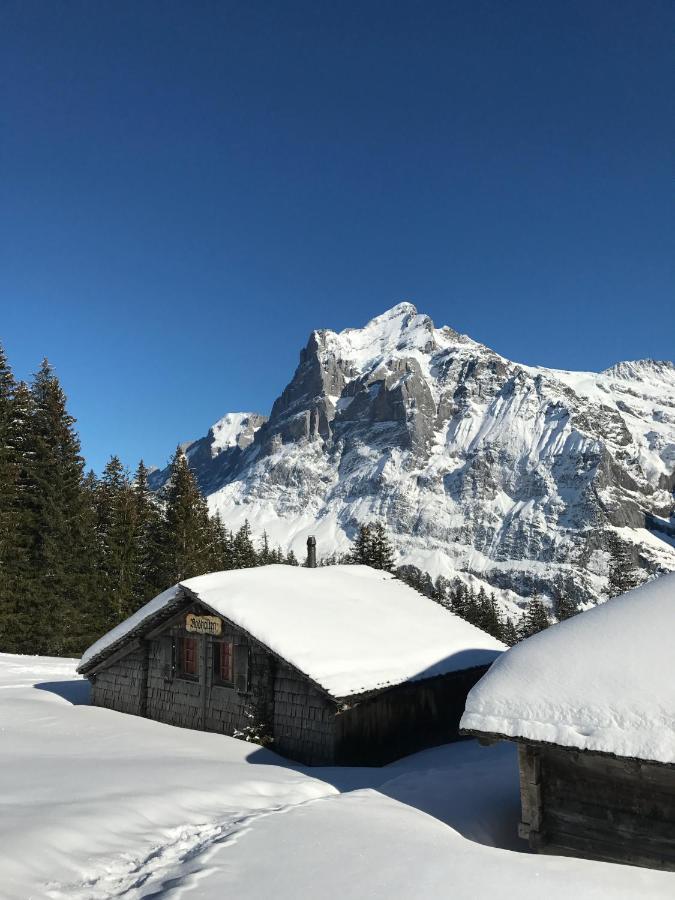 Chalet Sunneblick Grindelwald Exterior photo
