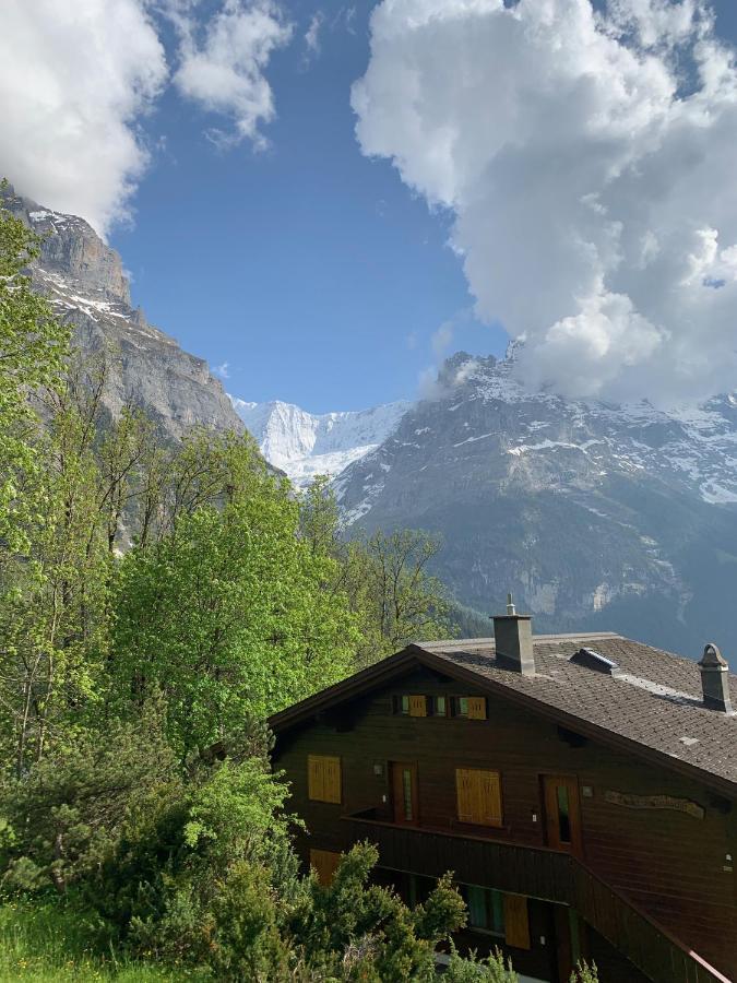 Chalet Sunneblick Grindelwald Exterior photo